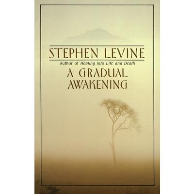 A Gradual Awakening