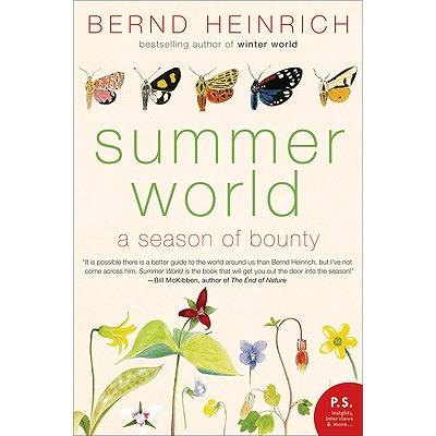 Summer World