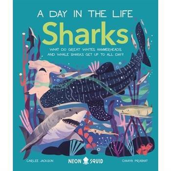 Sharks (a Day in the Life)