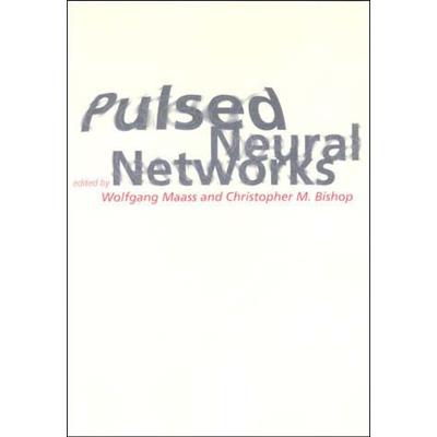 Pulsed Neural Networks