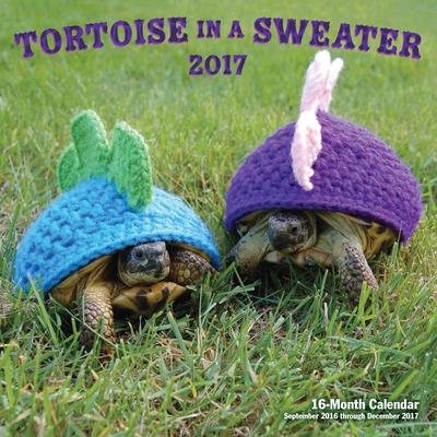 Turtles in Sweaters 2017 Calendar