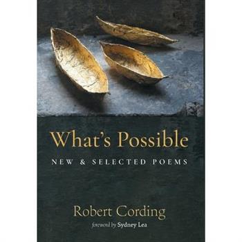 What's Possible