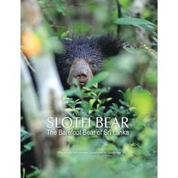 Sloth Bear