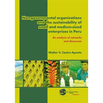 Non-governmental organizations and the sustainability of small and medium-sized enterprise