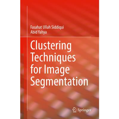 Clustering Techniques for Image Segmentation