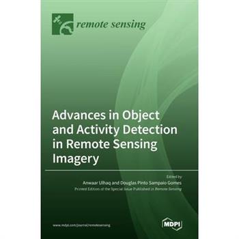 Advances in Object and Activity Detection in Remote Sensing Imagery