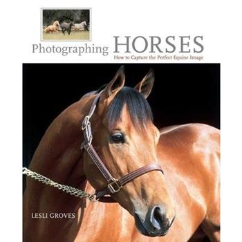 Photographing Horses