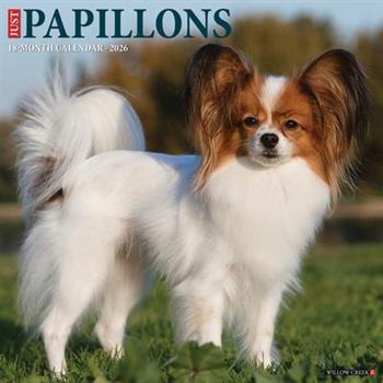 Papillons 2026 12 X 12 Wall Calendar