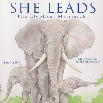 She LeadsThe Elephant Matriarch