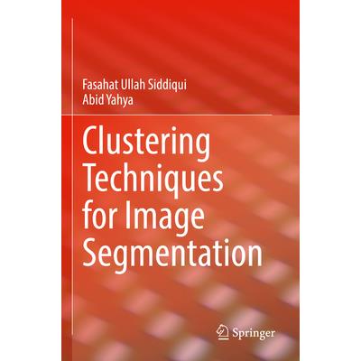Clustering Techniques for Image Segmentation