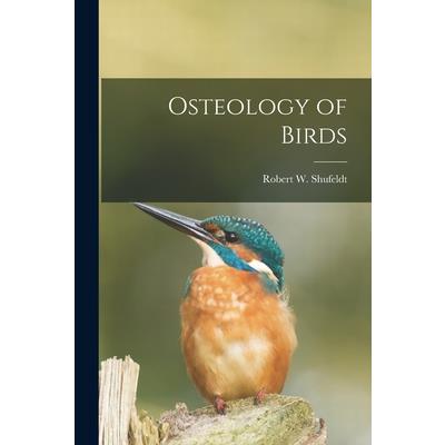 Osteology of Birds