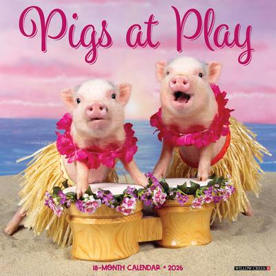 Pigs at Play 2026 12 X 12 Wall Calendar Pigs at Play 2026 12 X 12 Wall Calendar
