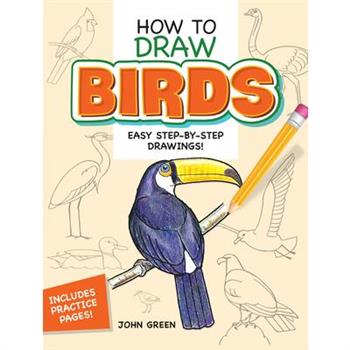 How to Draw Birds