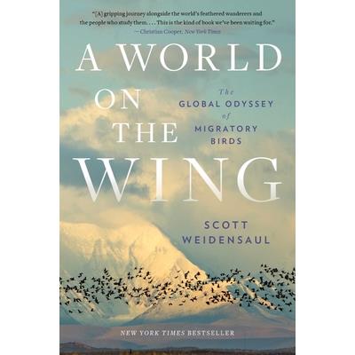 A World on the Wing