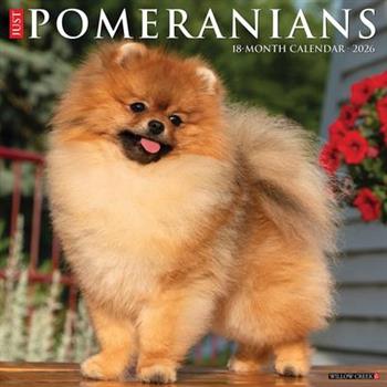 Pomeranians 2026 12 X 12 Wall Calendar