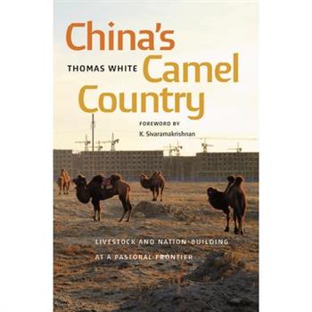 China's Camel Country