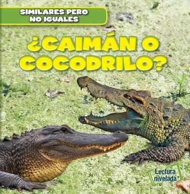聶Caim獺n O Cocodrilo? (Alligator or Crocodile?)