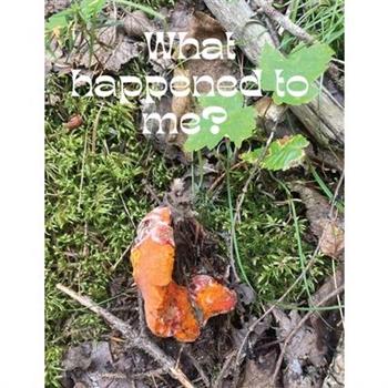 what happened to me?