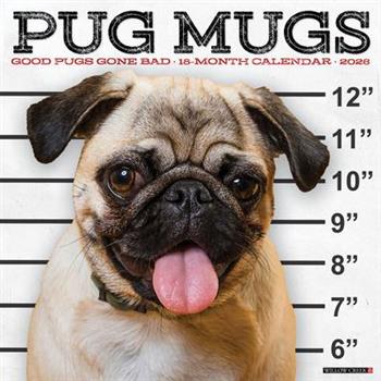 Pug Mugs 2026 12 X 12 Wall Calendar