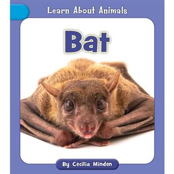 Bat