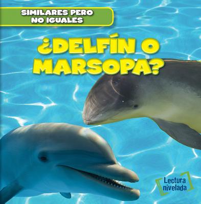 聶Delf穩n O Marsopa? (Dolphin or Porpoise?)