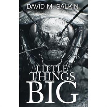 Little Things Big