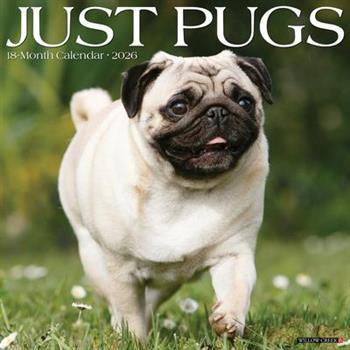 Pugs 2026 12 X 12 Wall Calendar