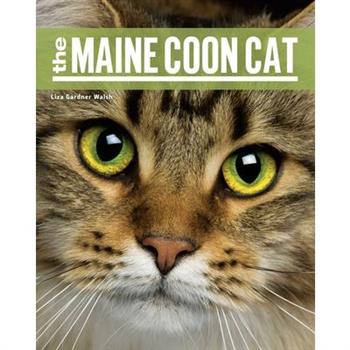 The Maine Coon Cat