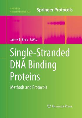 Single-Stranded DNA Binding Proteins