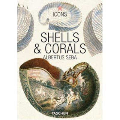 Seba, Shells & Corals