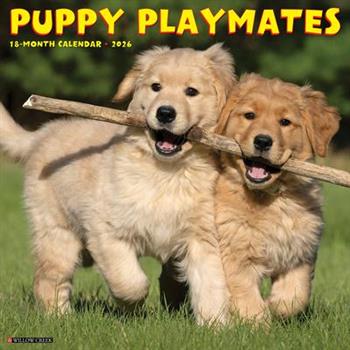 Puppy Playmates 2026 12 X 12 Wall Calendar