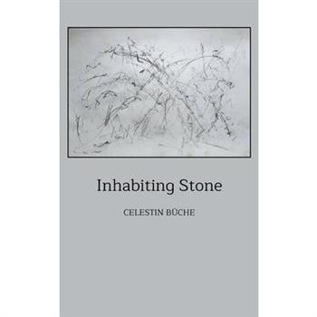 Inhabiting Stone
