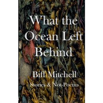 What the Ocean Left Behind