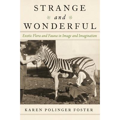 Strange and Wonderful