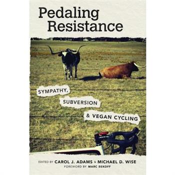 Pedaling Resistance