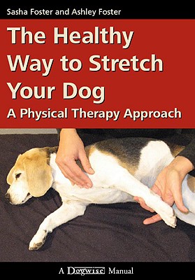 The Healthy Way to Stretch Your Dog