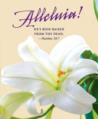 He’s Been Raised Lilies Easter Bulletin 2016