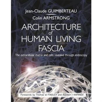 Architecture of Human Living Fascia