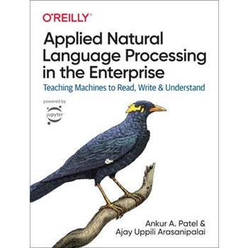 Applied Natural Language Processing in the Enterprise