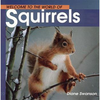 Welcome to the World of Squirrels