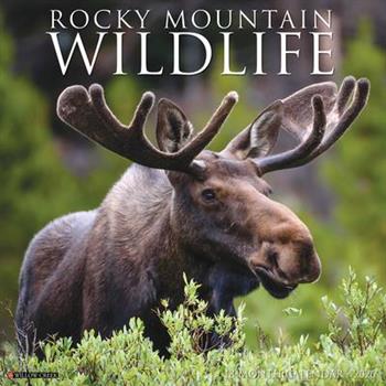 Rocky Mountain Wildlife 2026 12 X 12 Wall Calendar