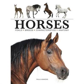 Horses