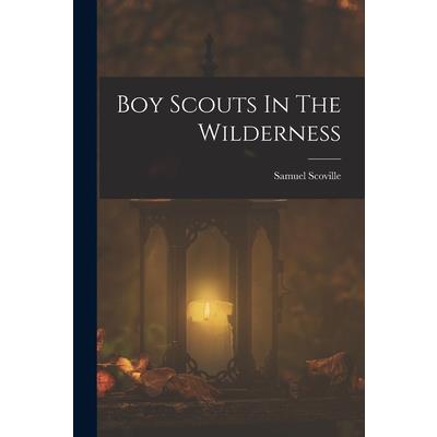 Boy Scouts In The Wilderness