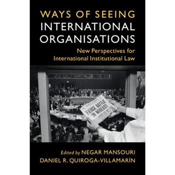 Ways of Seeing International Organisations