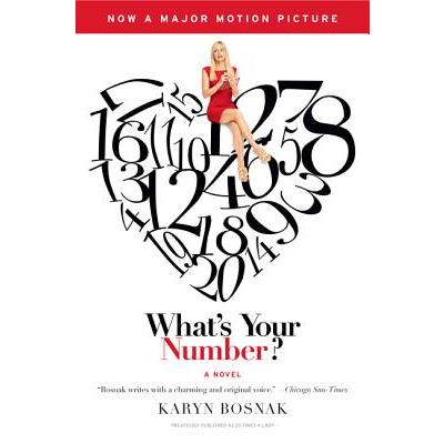 What's Your Number 先生你哪位電影小說