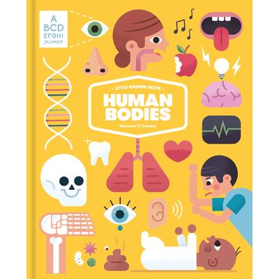 Little Known Facts: The Human Body