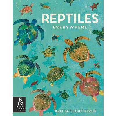 Reptiles Everywhere