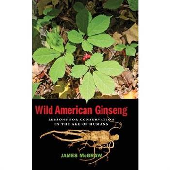 Wild American Ginseng
