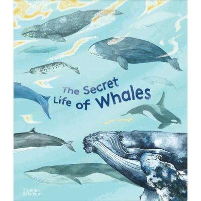 The Secret Life of Whales