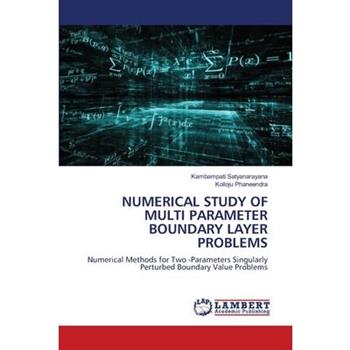 Numerical Study of Multi Parameter Boundary Layer Problems